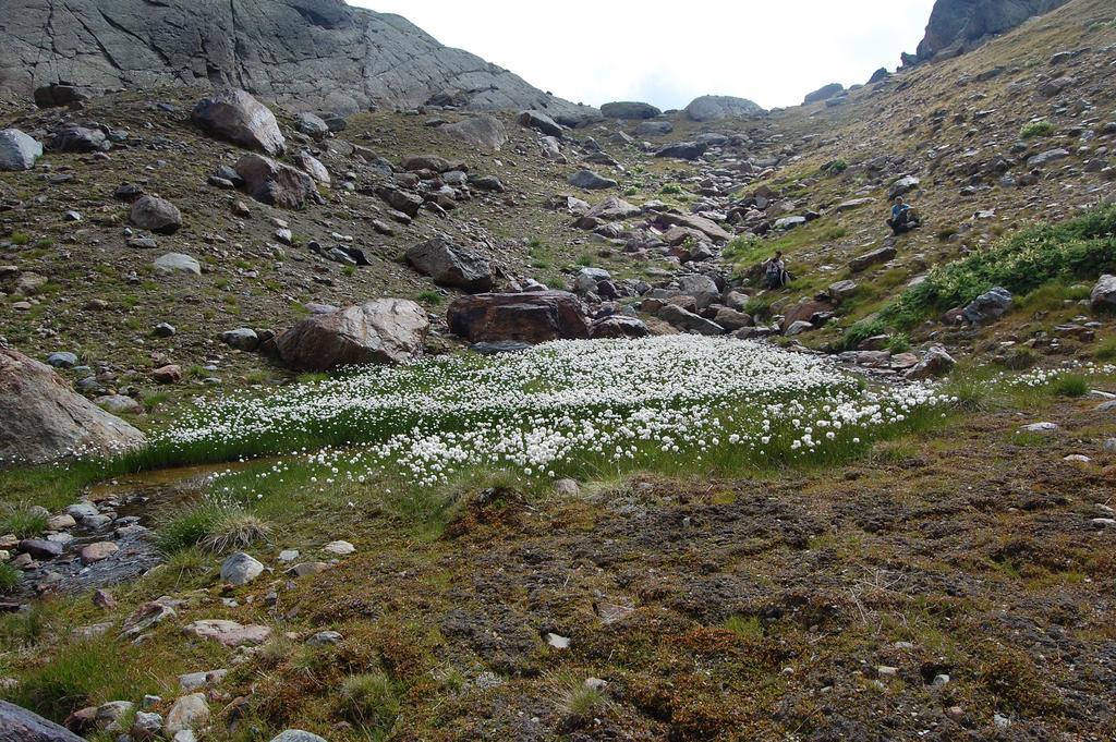 Appartamenti Welcome In Val Di Sole Casa Orti Ossana Zewnętrze zdjęcie